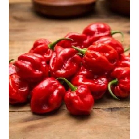 Habandero Red Snack Habandero Red Snack