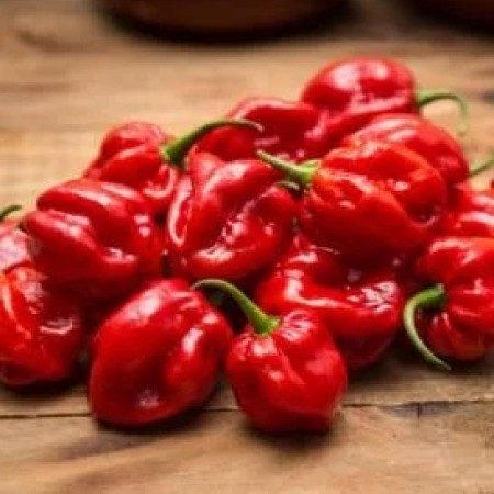 Habandero Red Snack Habandero Red Snack