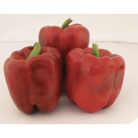 Peperone F.1 Jolly Rosso Peperone F.1 Jolly Rosso