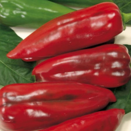 Ardei KAPYA MAX Ardei KAPYA MAX