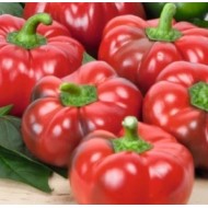 Ardei gogosar CORNEL imbunatatit