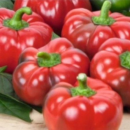 Ardei gogosar CORNEL imbunatatit Ardei gogosar CORNEL imbunatatit