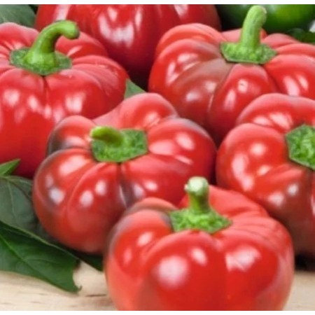 Ardei gogosar CORNEL imbunatatit Ardei gogosar CORNEL imbunatatit