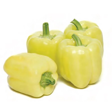 Ardei gras galben Ardei gras galben