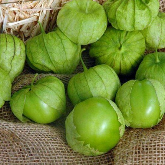 Tomato Physalis Green