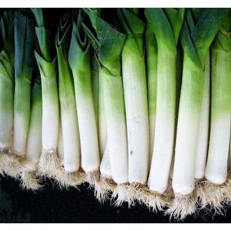 Tomis Praz Tomis Praz