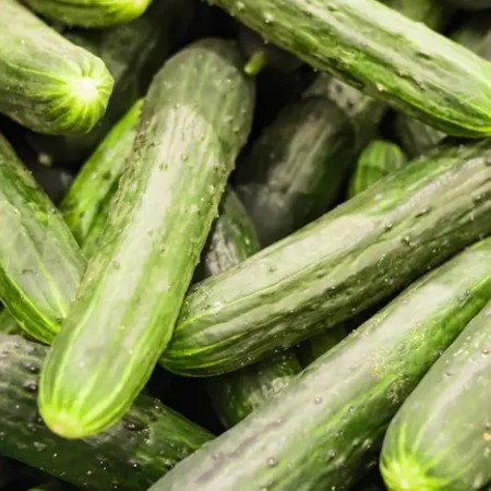 Castraveti CRISAN Castraveti CRISAN