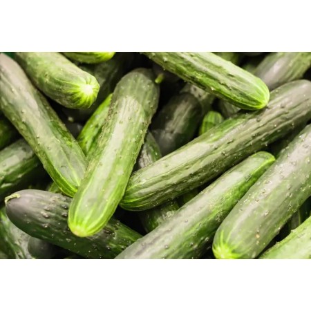 Castraveti CRISAN Castraveti CRISAN