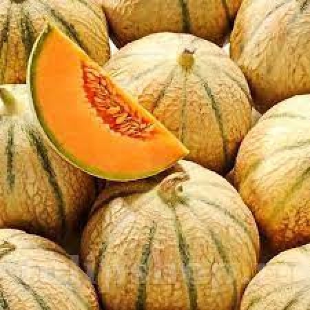 Pepene galben Cantalupo di Clarentais Pepene galben Cantalupo di Clarentais