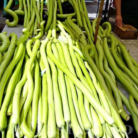 Dovleac Sicilian Snake Dovleac Sicilian Snake