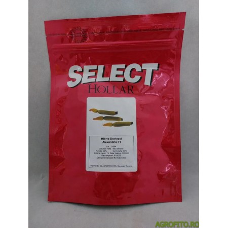 Dovlecel Alexandria F 1 Dovlecel Alexandria F 1